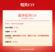 2024年板块国内营收259亿