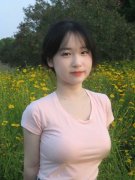 台行政机构刚上